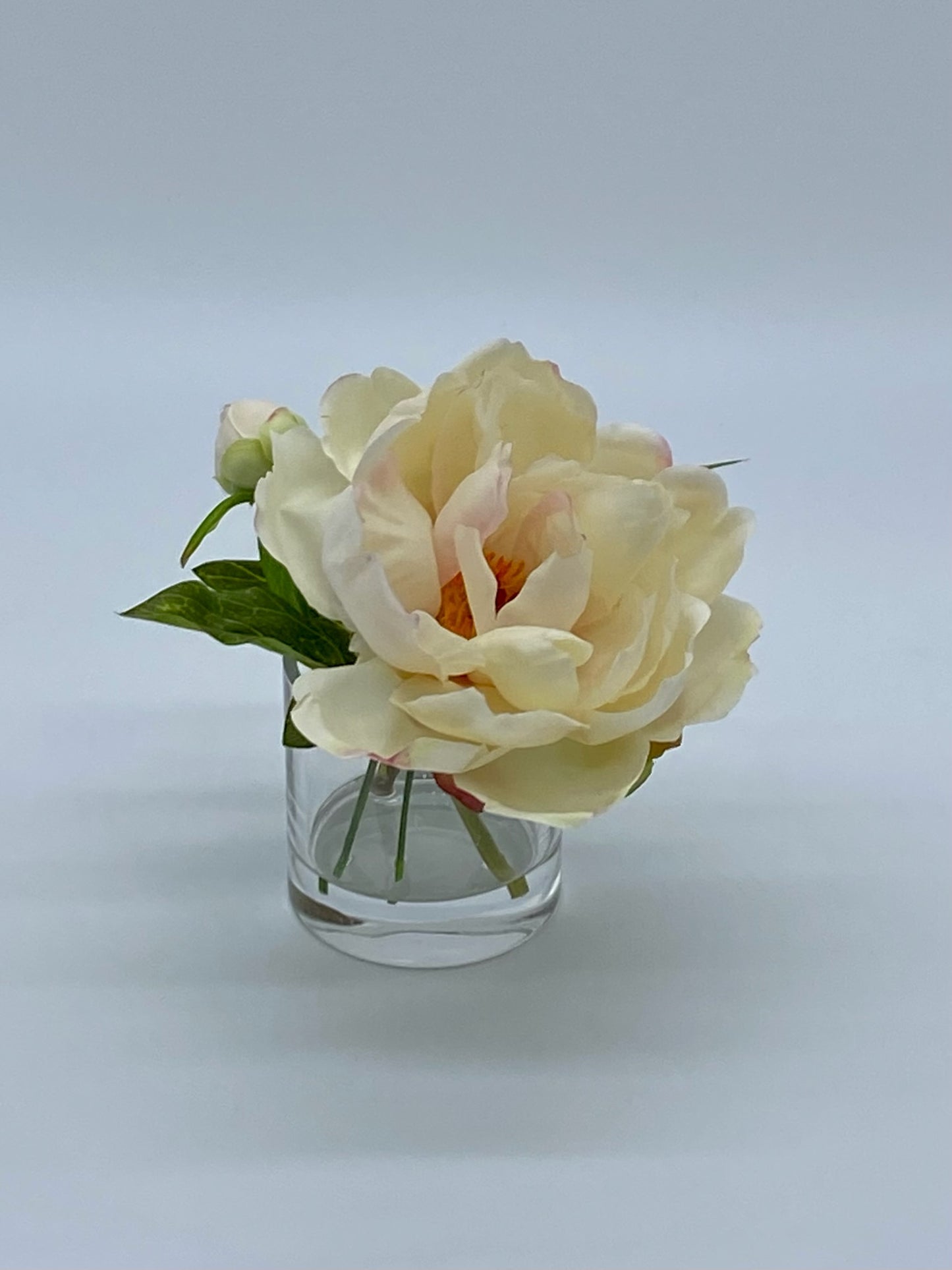 Petite Peony