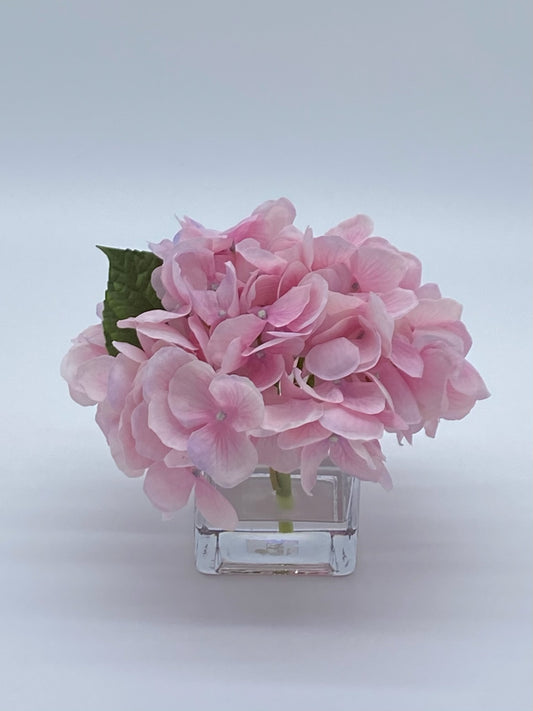 Joy's Signature Hydrangea