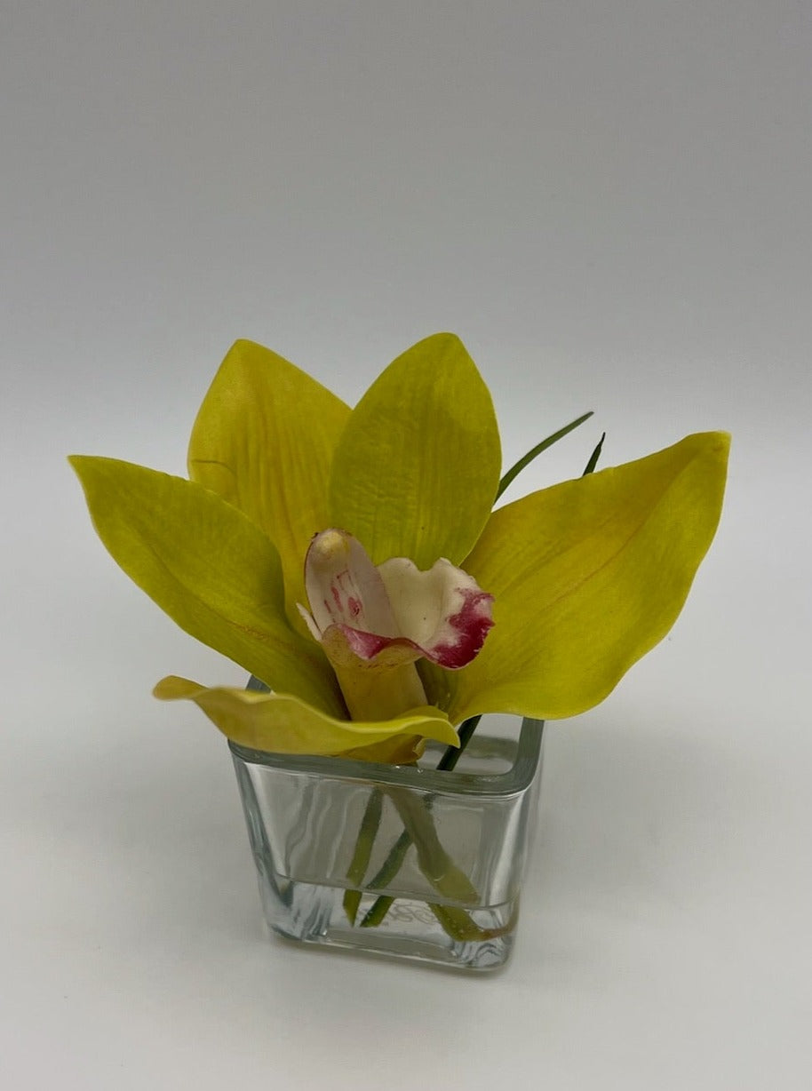 Cymbidium in Square Votive