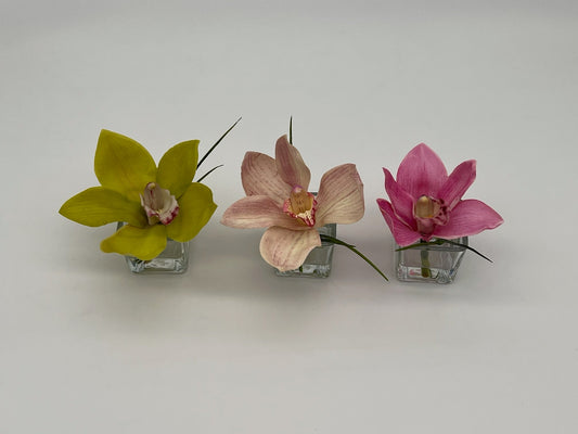 Cymbidium in Square Votive