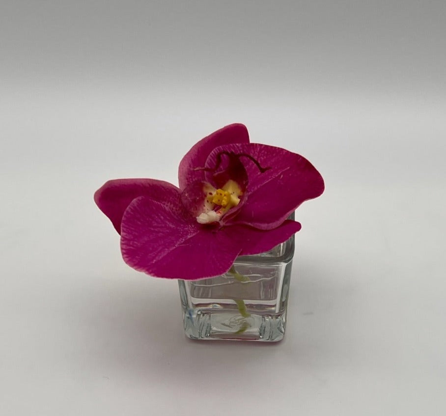 Phalaenopsis in Square Votive