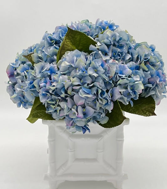 Hamptons Bamboo Footed Hydrangea