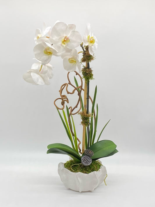 White Handbade Bowl Single Waterfall Orchid