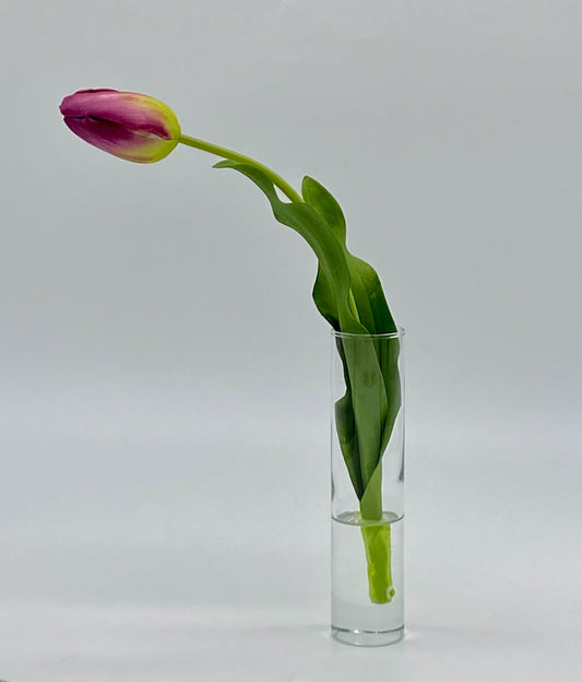 Dutch Tulip Bud Vase