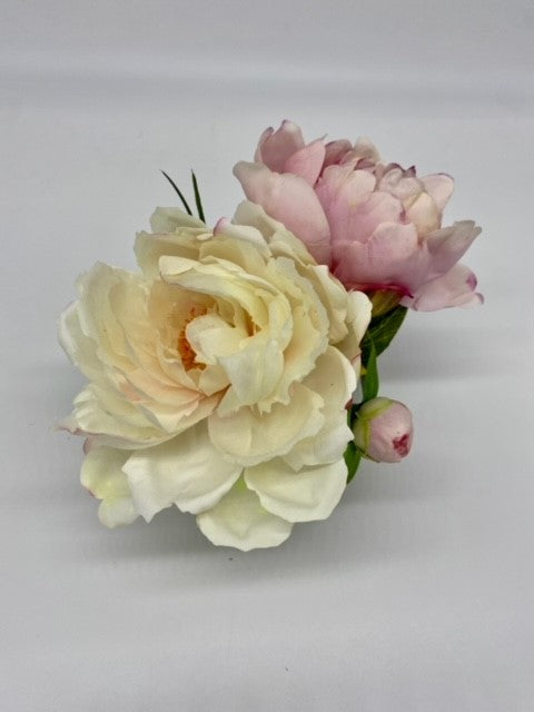 Petite Double Peony Creme & Pink