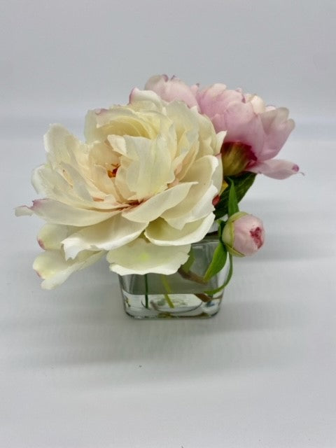Petite Double Peony Creme & Pink
