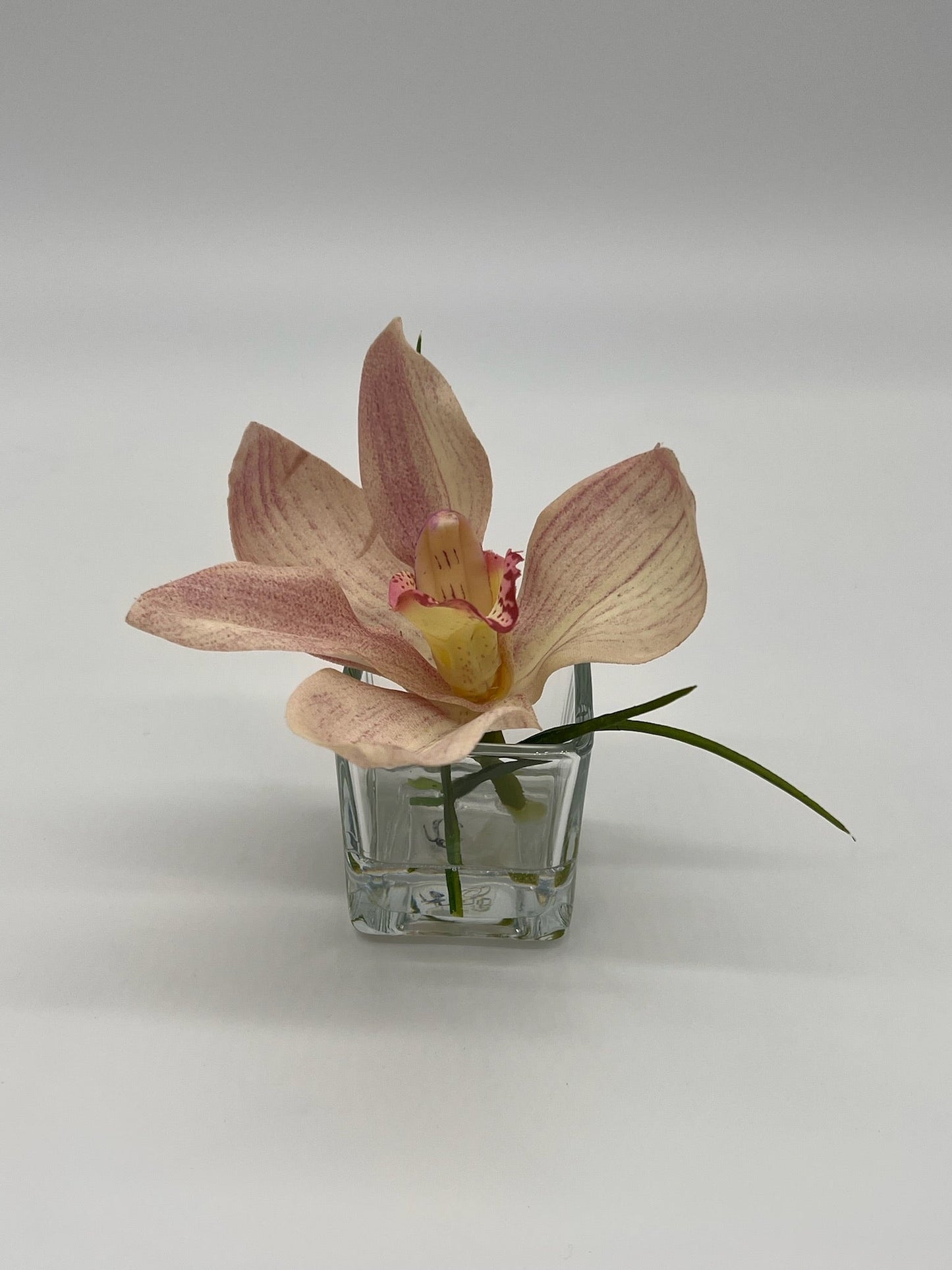 Cymbidium in Square Votive