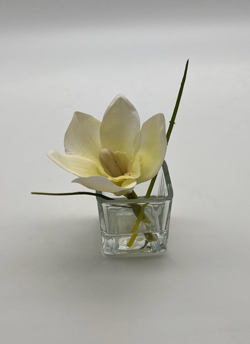Cymbidium in Square Votive