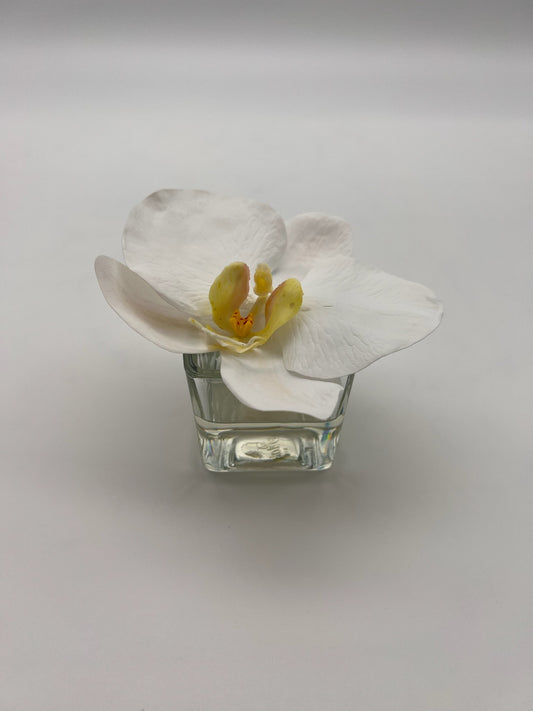 Phalaenopsis in Square Votive