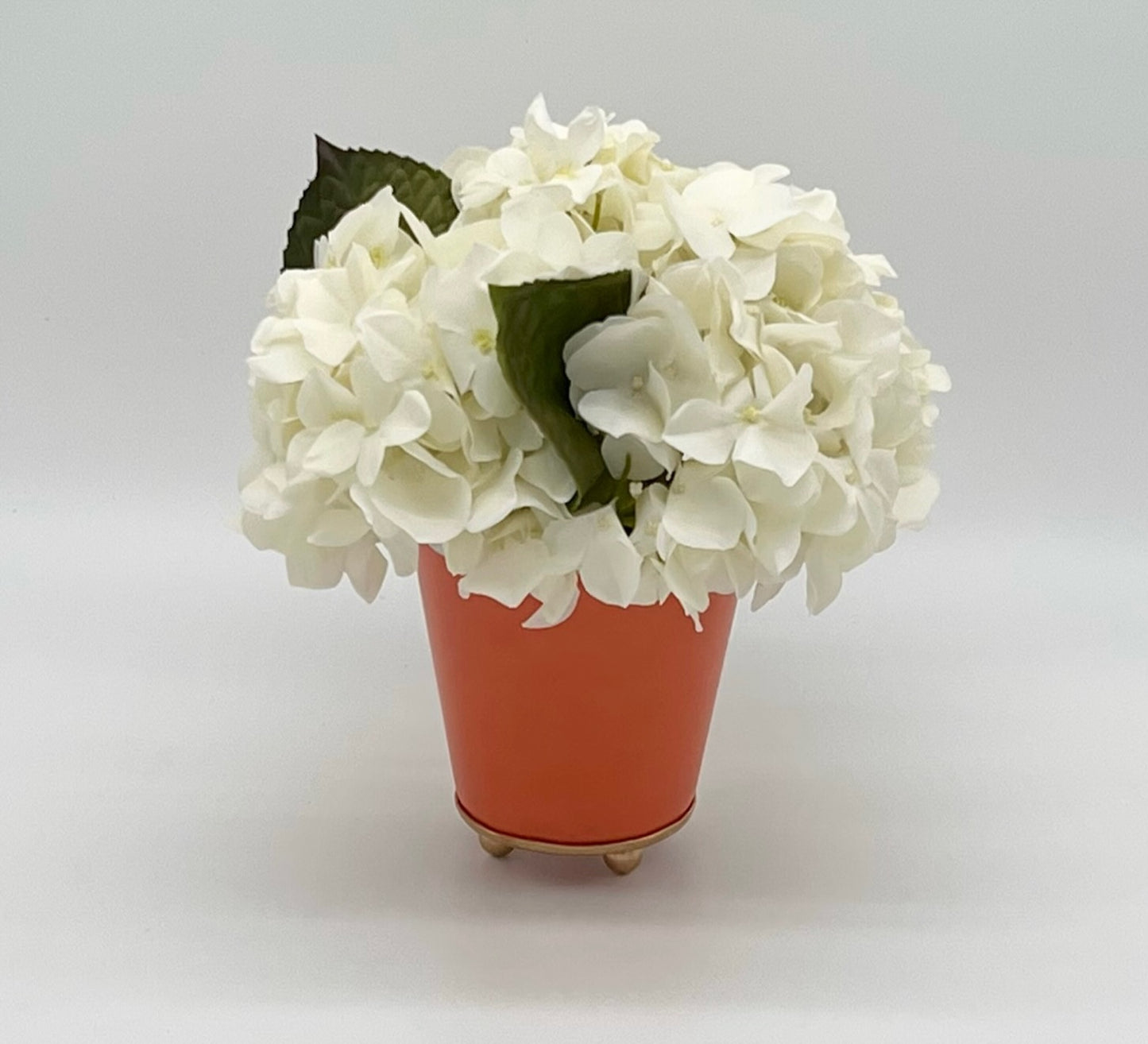 Petite Hydrangea in Round Cachepot