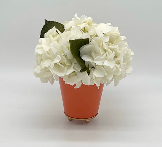Petite Hydrangea in Round Cachepot