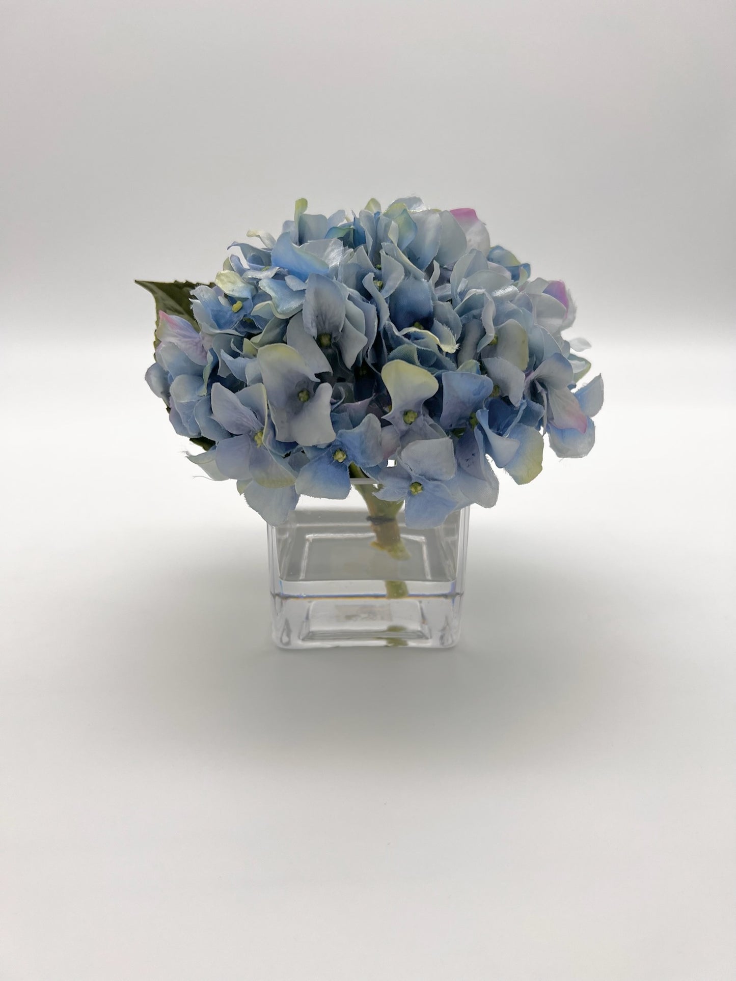 Joy's Signature Hydrangea