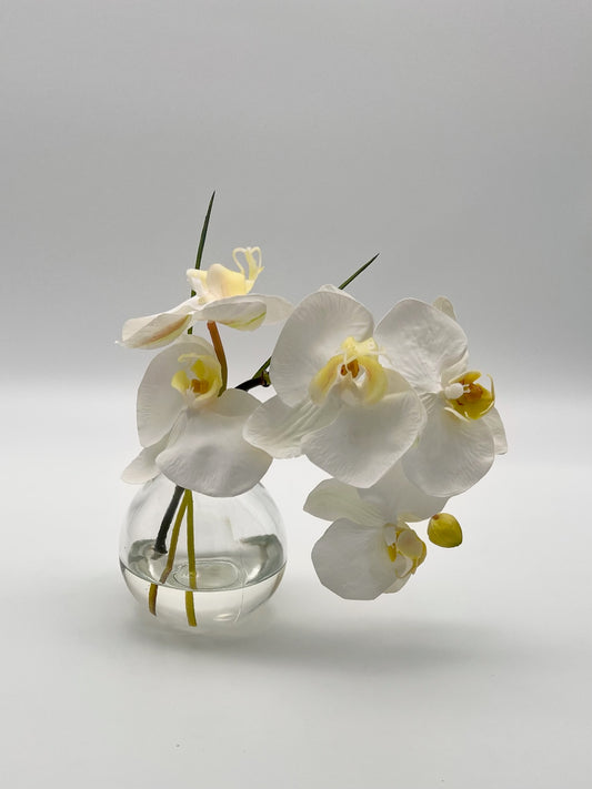 Petite Waterfall Orchid in Bubble Vase