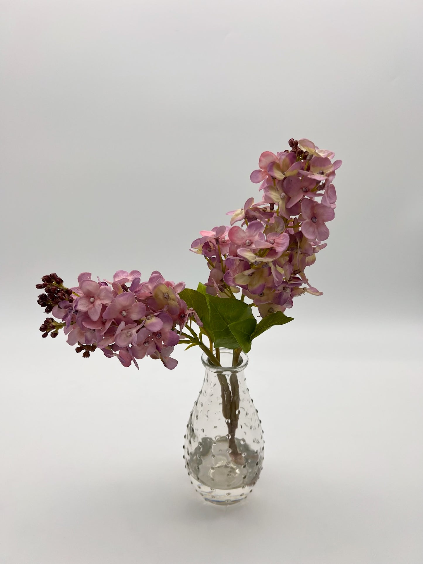 Spring Lilac in Bud Vase