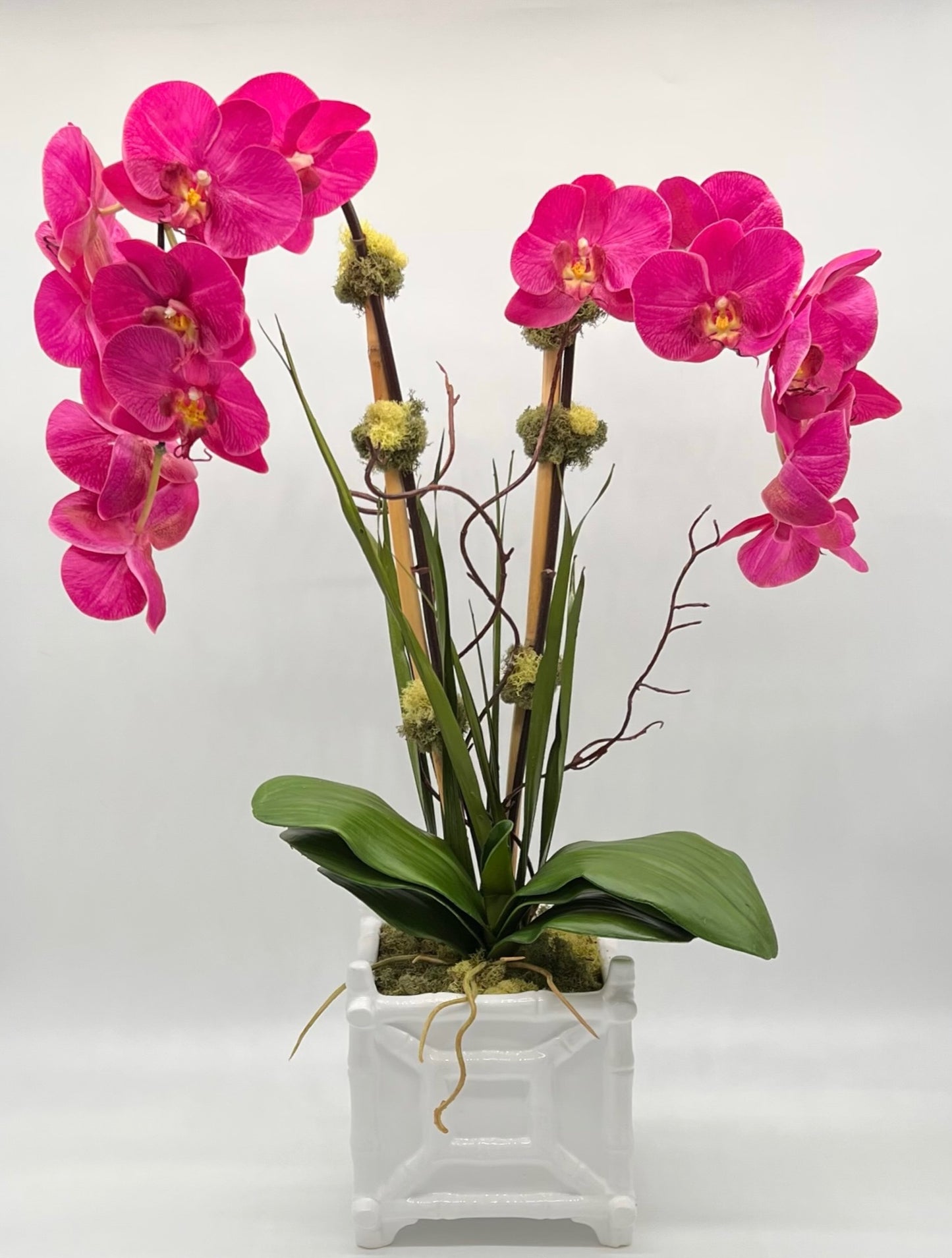 Hamptons Footed Bamboo Double Orchid