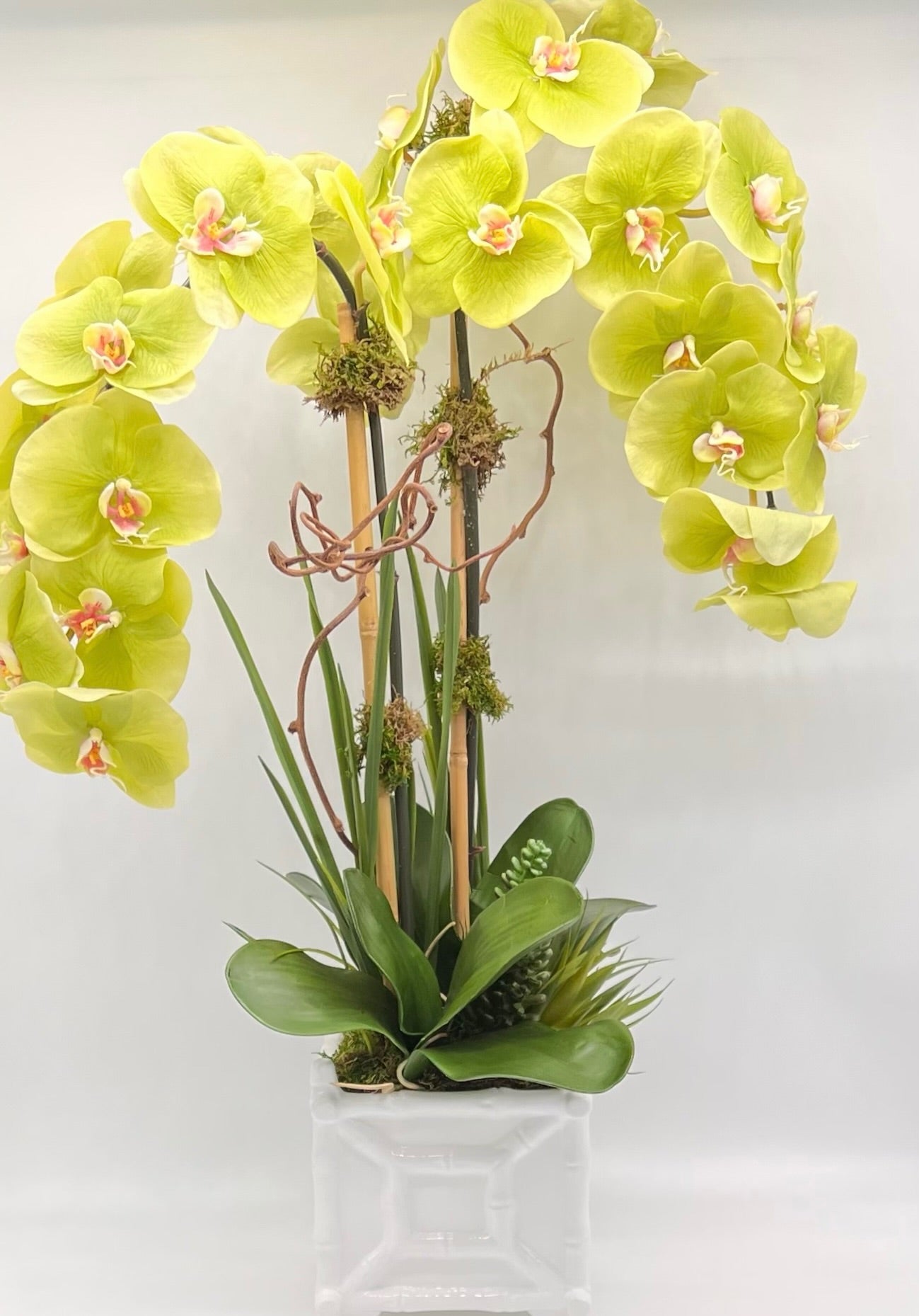 Hamptons Footed Bamboo Double Orchid