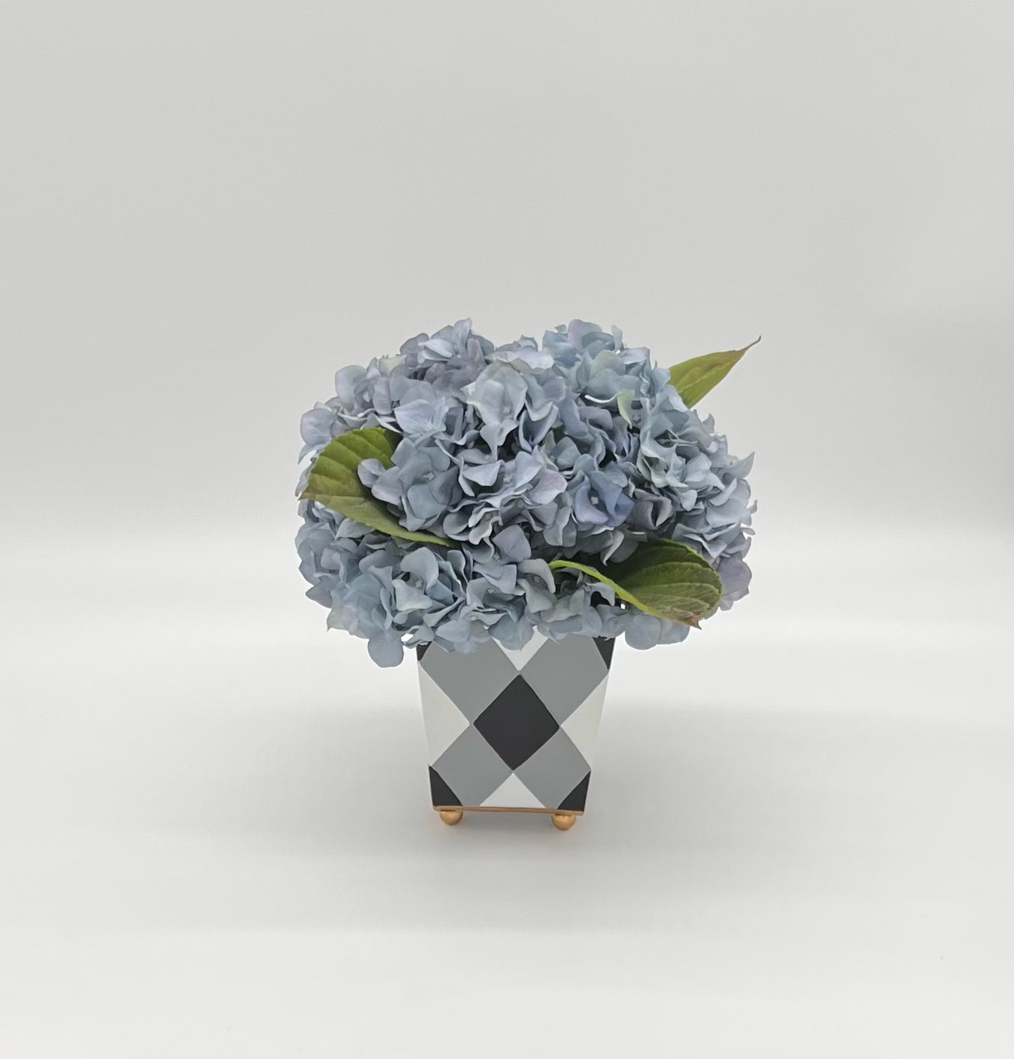 Petite Hydrangea in Square Cachepot