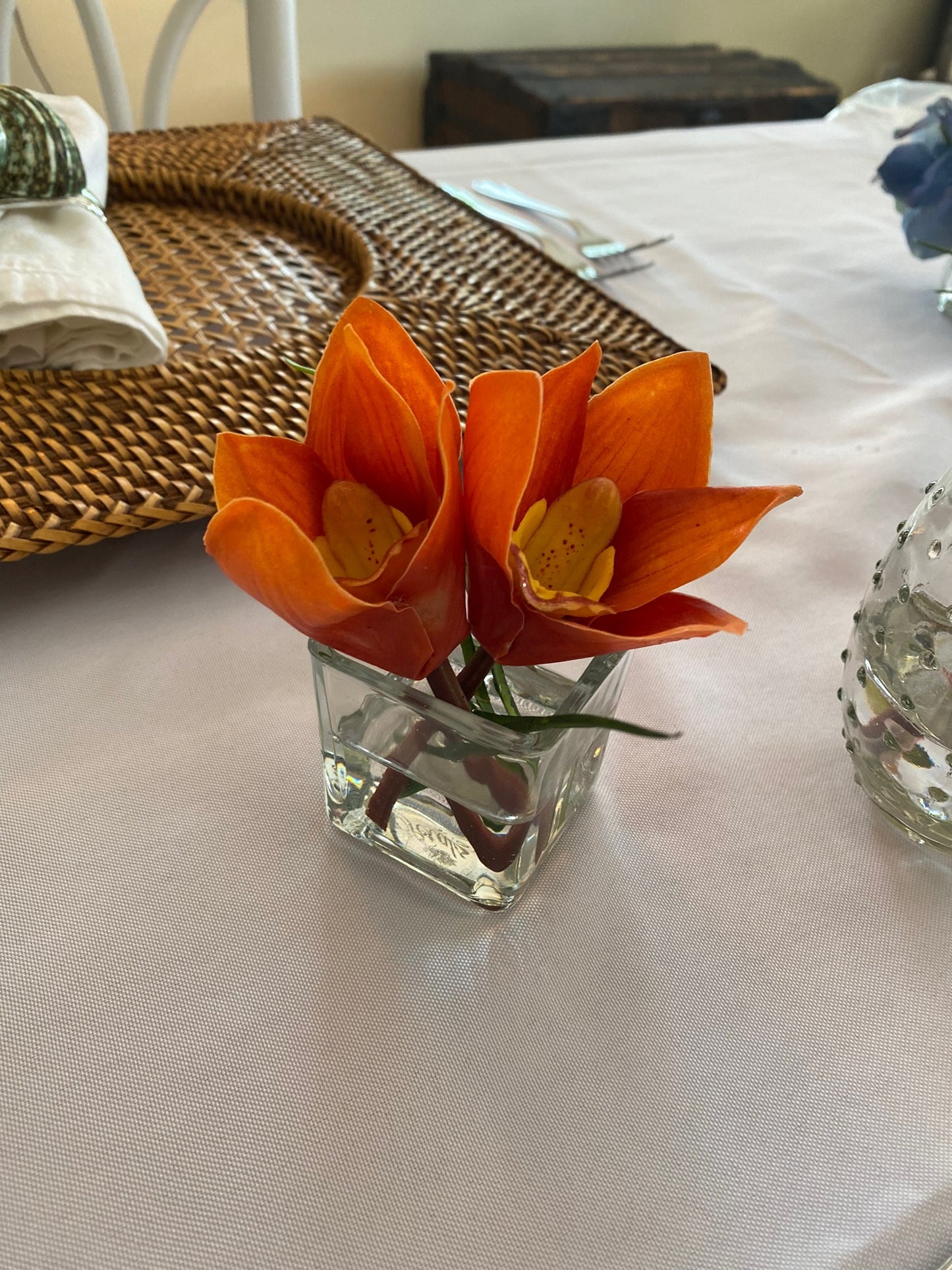 Cymbidium in Square Votive