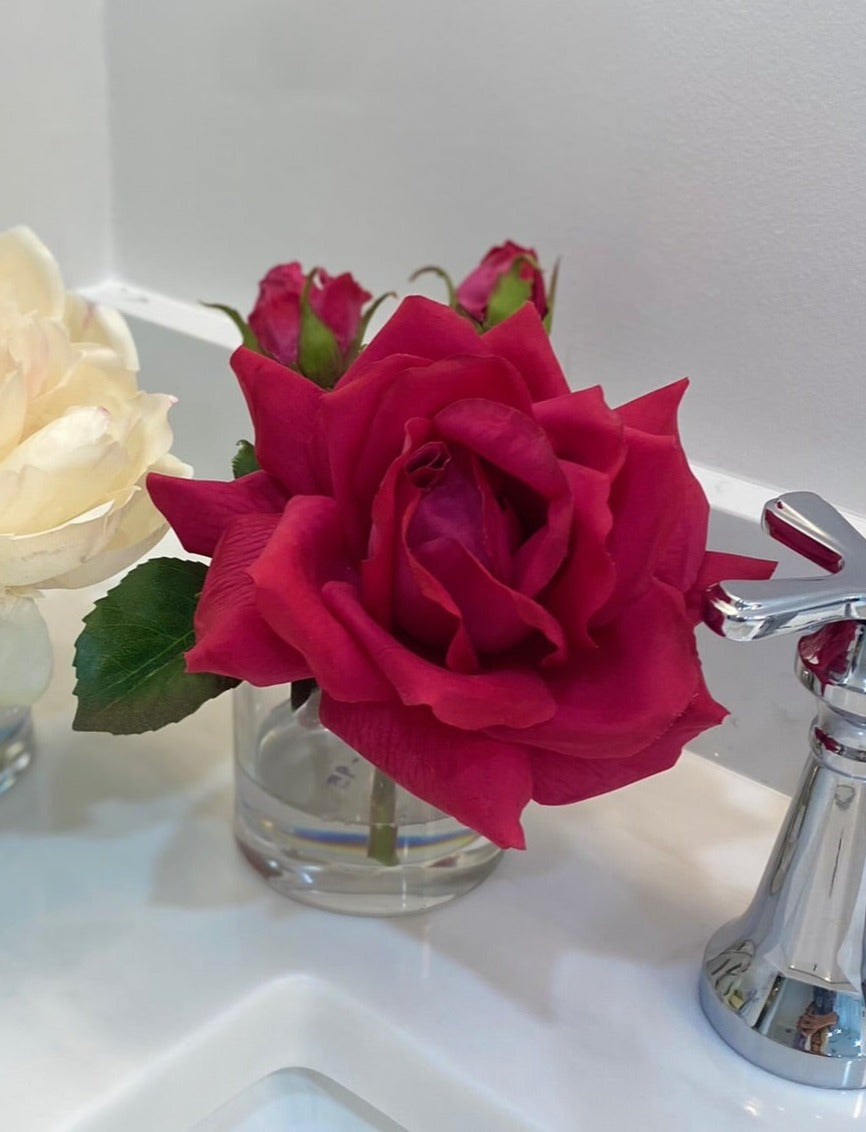 Petite English Rose
