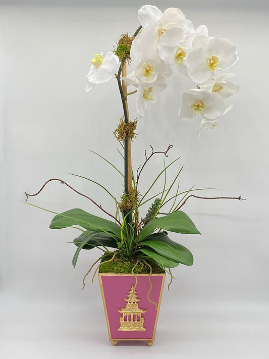 Pagoda Single Waterfall Orchid