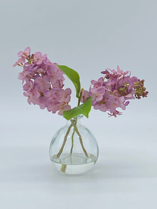 Spring Double Lilac in Bubble Vase