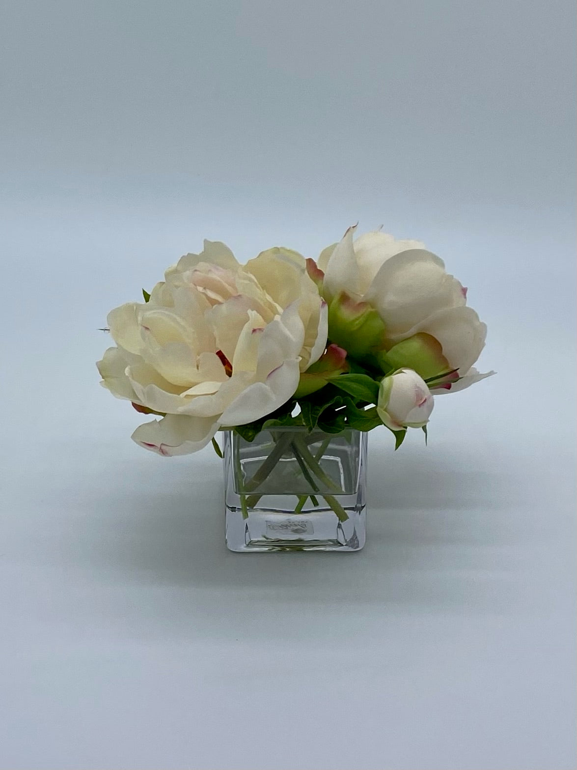 Petite Double Peony Creme