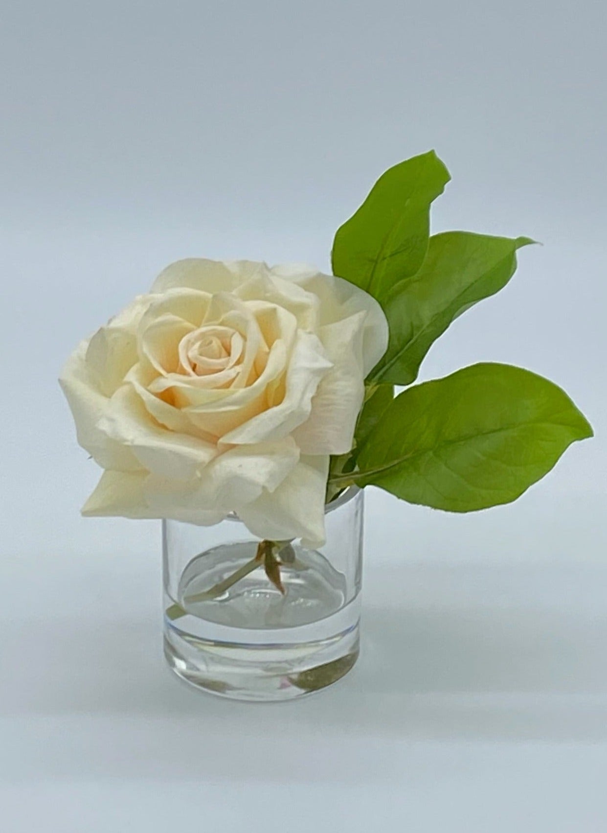 Petite English Rose
