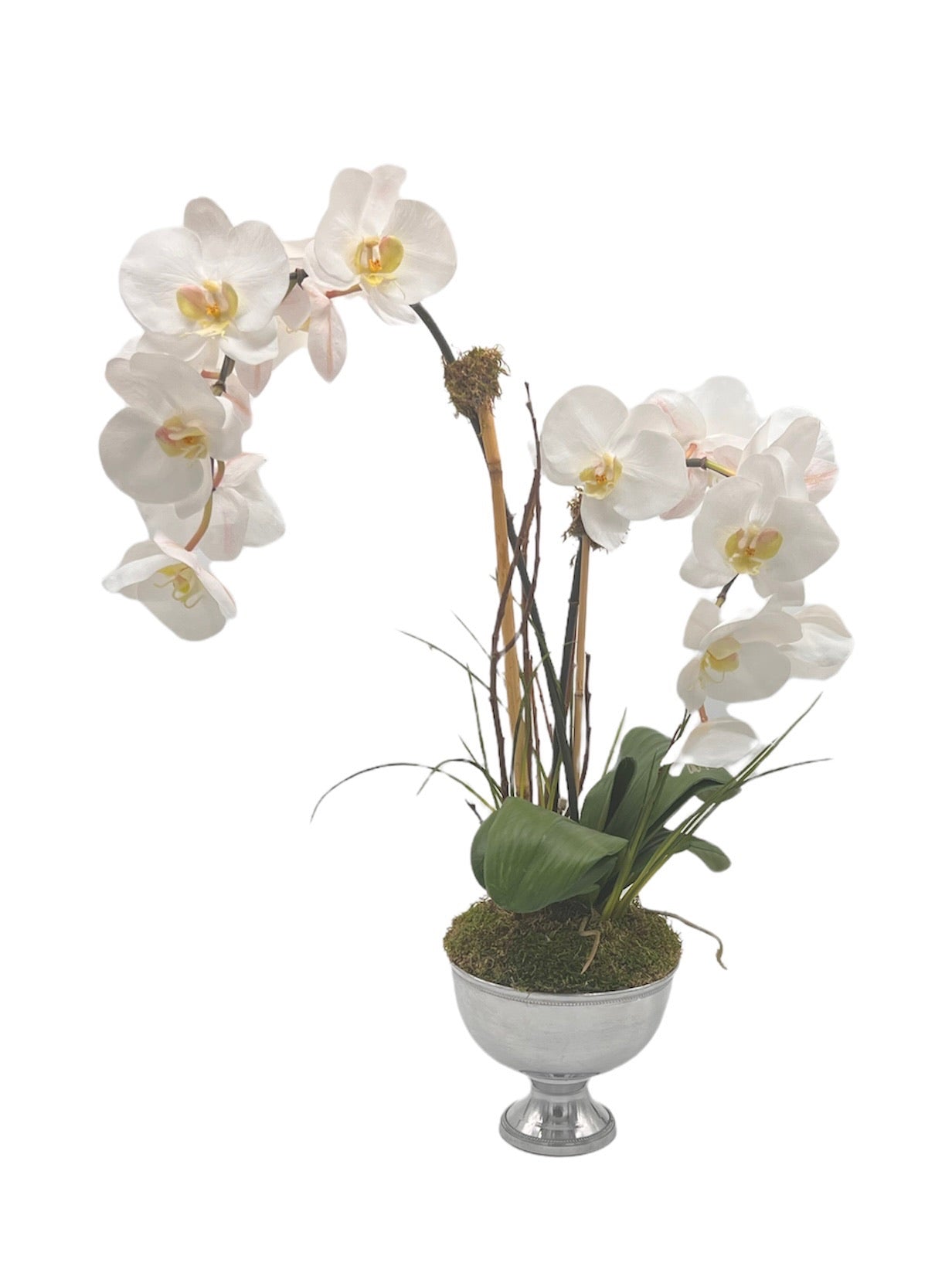 Silver Pedestal Double Waterfall Orchid