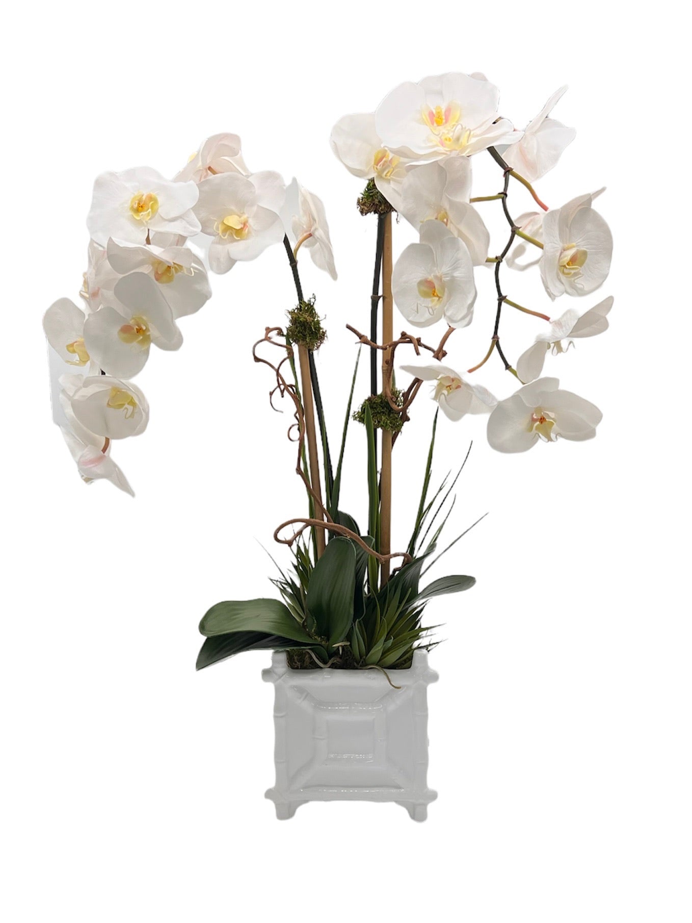 Hamptons Footed Bamboo Double Orchid