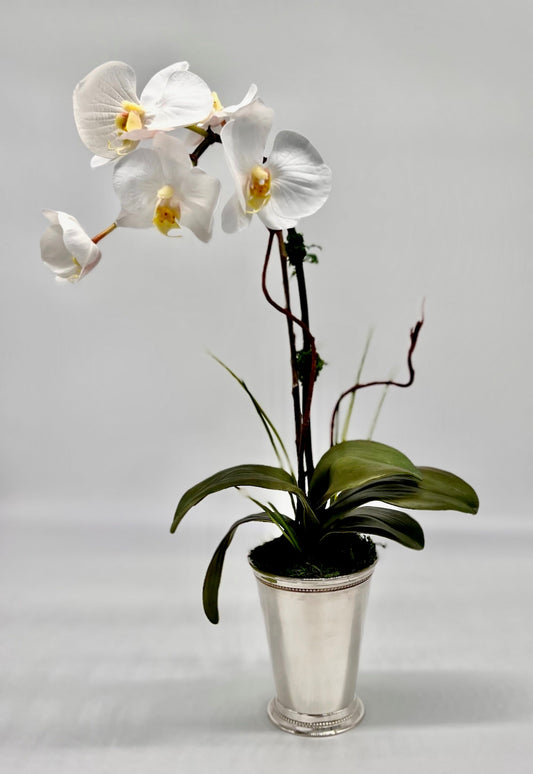 Single Orchid Bloom in Silver Barfly